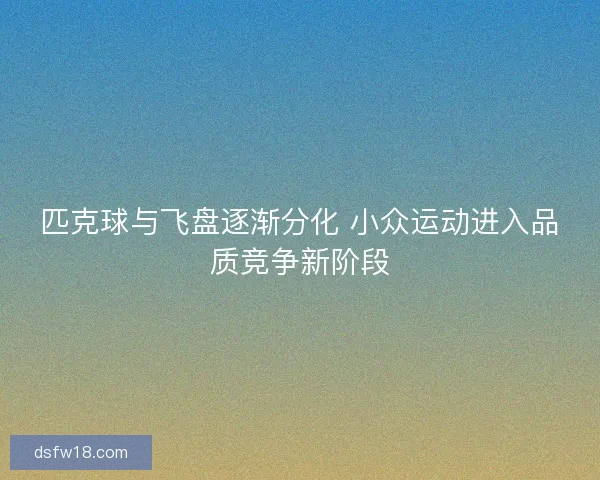 匹克球与飞盘逐渐分化 小众运动进入品质竞争新阶段 匹克球与飞盘逐渐分化 小众运动进入品质竞争新阶段