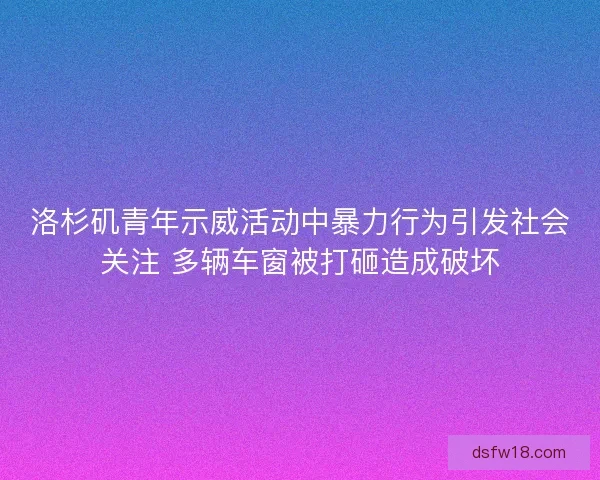 洛杉矶青年示威活动中暴力行为引发社会关注 多辆车窗被打砸造成破坏